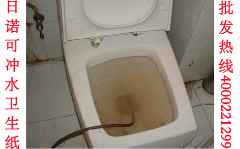 廁所堵了怎么辦 日諾可沖水衛(wèi)生紙 廁所堵了怎么辦 日諾可沖水衛(wèi)生紙