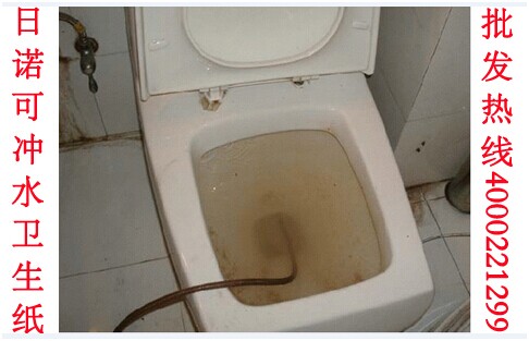 廁所堵了怎么辦 日諾水溶性衛(wèi)生紙 廁所堵了怎么辦 日諾水溶性衛(wèi)生紙